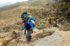 Kilimandscharo-Besteigung-Barranco-Camp-Karanga-Camp-18