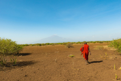 Entwicklung-Meru-Kilimanjaro-00292