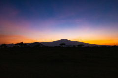 Entwicklung-Meru-Kilimanjaro-00350