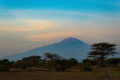 Entwicklung-Meru-Kilimanjaro-00362