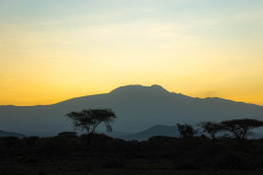 Entwicklung-Meru-Kilimanjaro-00363