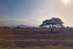 Entwicklung-Meru-Kilimanjaro-081452