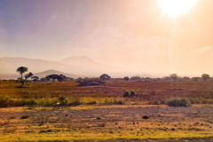 Entwicklung-Meru-Kilimanjaro-081457