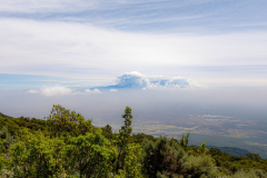 Entwicklung-Meru-Kilimanjaro-00422