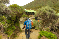 Entwicklung-Meru-Kilimanjaro-00424