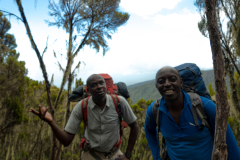 Kilimandscharo-Besteigung-Umbwe-Cave-Camp-Baranco-Camp-11