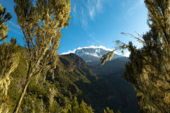 Kilimandscharo-Besteigung-Umbwe-Cave-Camp-Baranco-Camp-6