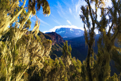 Umbwe-Route-Barranco-Camp-Kilimanjaro-4