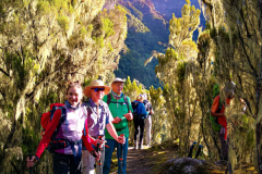 Umbwe-Route-Barranco-Camp-Kilimanjaro-6