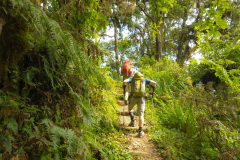 Kilimandscharo-Besteigung-Umbwe-Gate-Umbwe-Cave-Camp-12